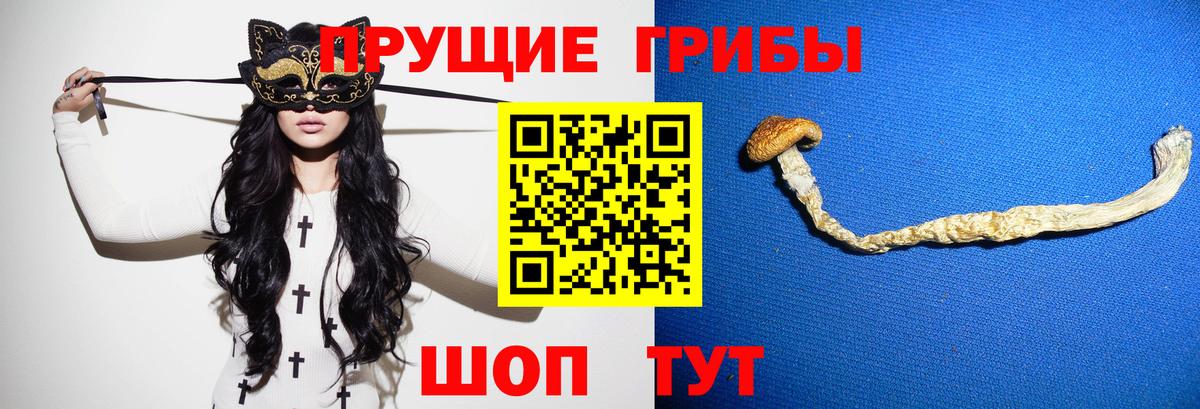 Белово  Псилоцибиновые грибы MAGIC MUSHROOMS  Вход с VPN 
